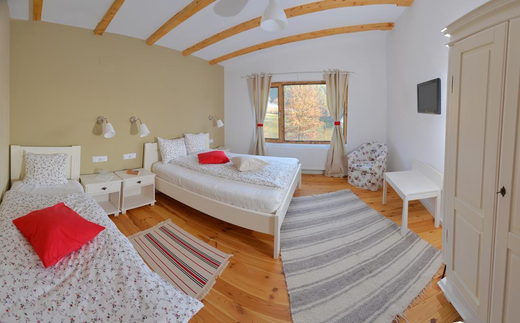 فندق Talhaus Vişeu de Sus المظهر الخارجي الصورة